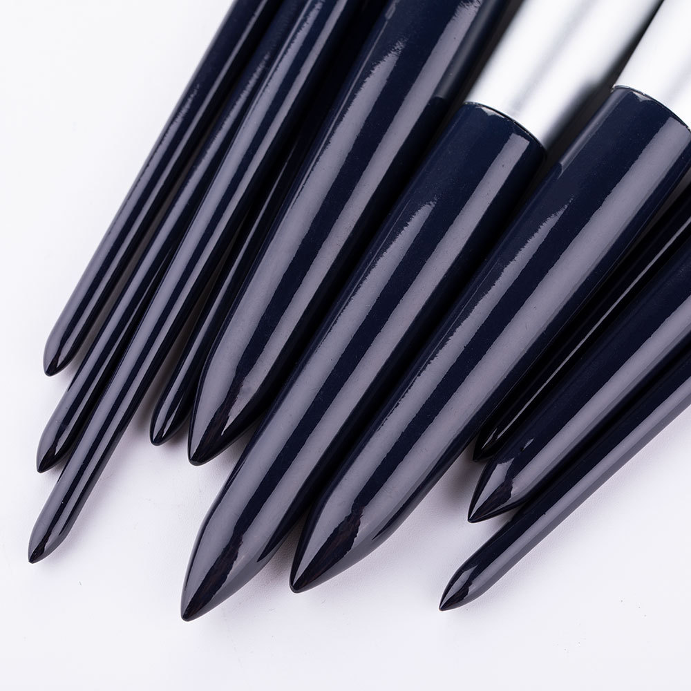 10pcs blue makeup brushes