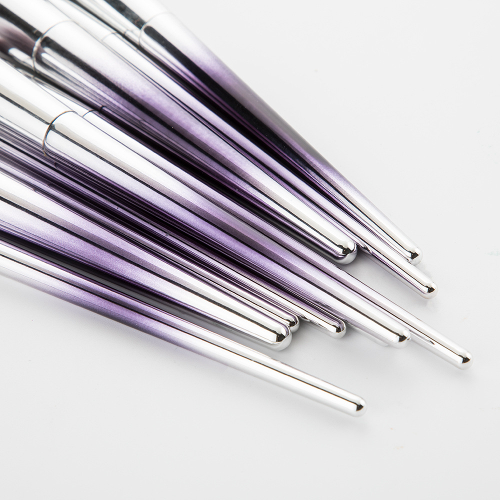 10pcs makeup brushes