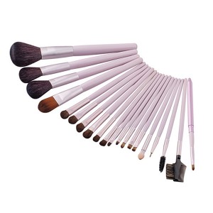 Customized 21pcs Cosmetic brushes Makeup brush set