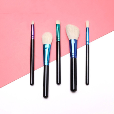 5pcs makeup brush set