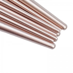 Customize Classical Makeup Brush Set 12Pcs Premium Synthetic Hair Powder Foundation Cosmetics Tools