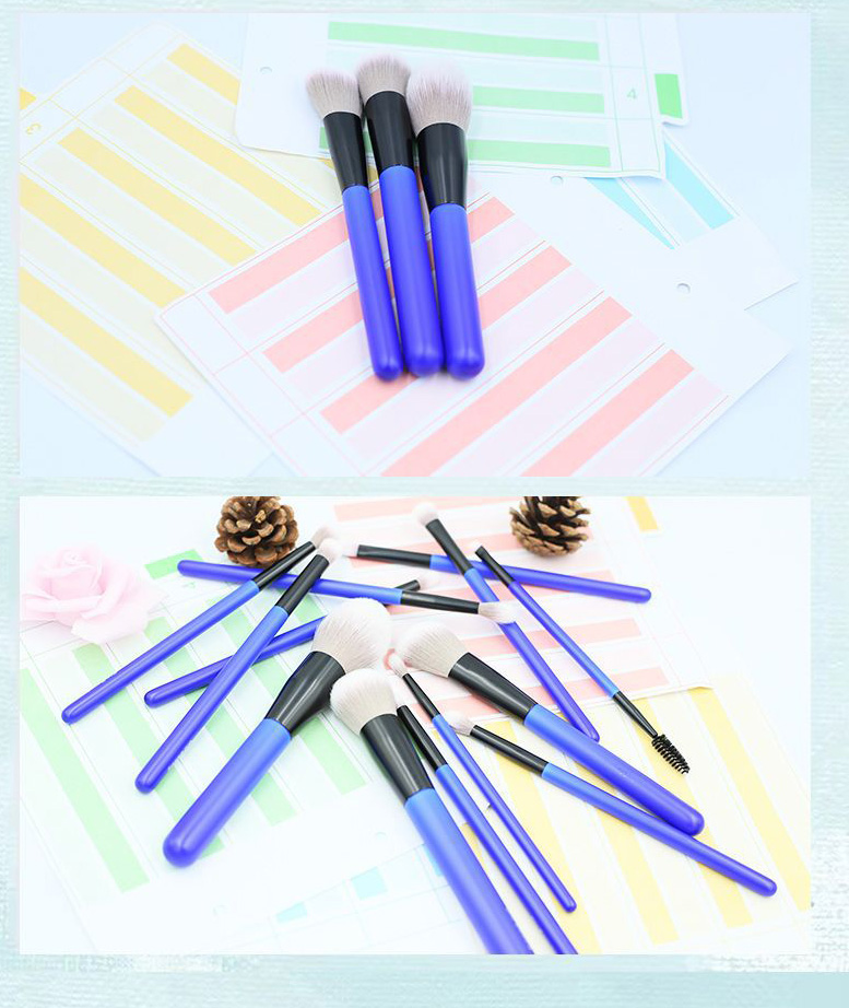 glitter makeup brush