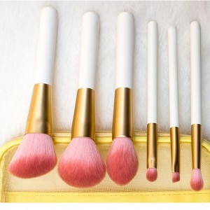 Cosmetic Brushes Set Professional Multifunction Makeup Brushes with Brush bag Customized 6pcs