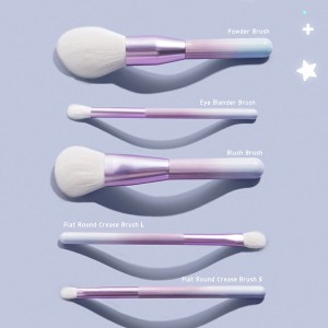 5pcs Ombre Purpls makeup brush set factory direct