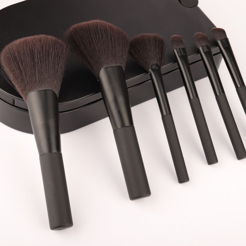 oem 6pcs makeup brush set