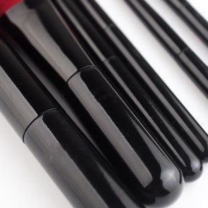 OEM Red vegan hair makeup brushes set 6pcs travel brushes with case