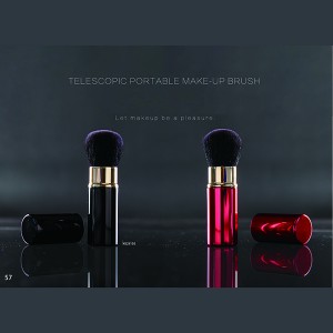 Retractable makeup brush