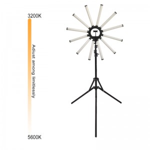 Wholesale Beauty 39 inch 12 tubes Photographic Selfie Led Ring Light With Tripod Stand For Live Stream Makeup Youtube Video